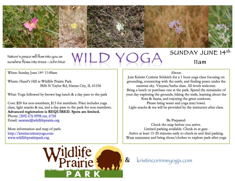 WildLifePraire_Yoga